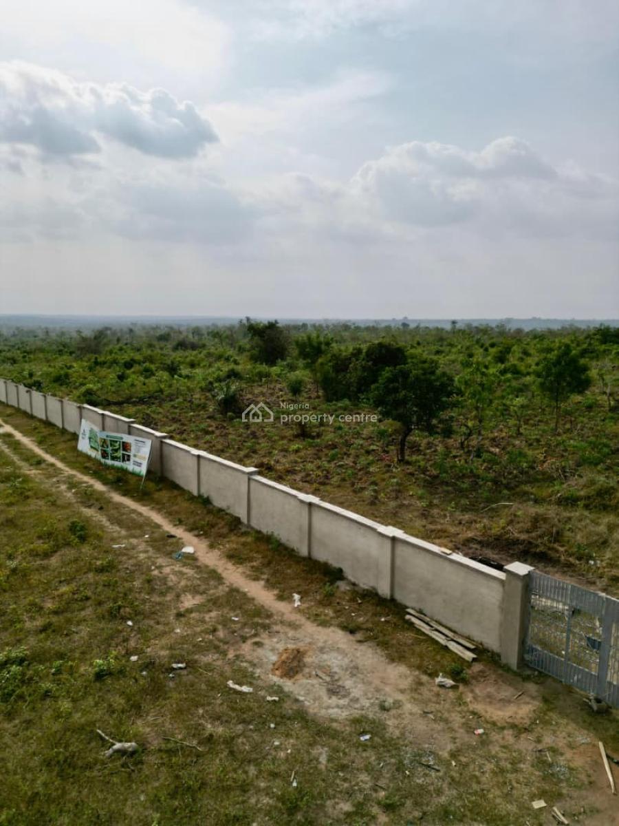 1 Acre of Cashew Farm: Annual Return of N4.5m Above. You Need This!, Alabata, Abeokuta North, Ogun, Mixed-use Land for Sale