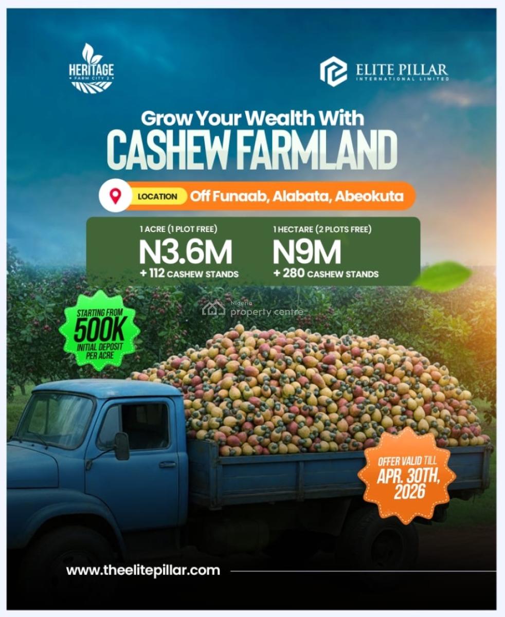 1 Acre of Cashew Farm: Annual Return of N4.5m Above. You Need This!, Alabata, Abeokuta North, Ogun, Mixed-use Land for Sale