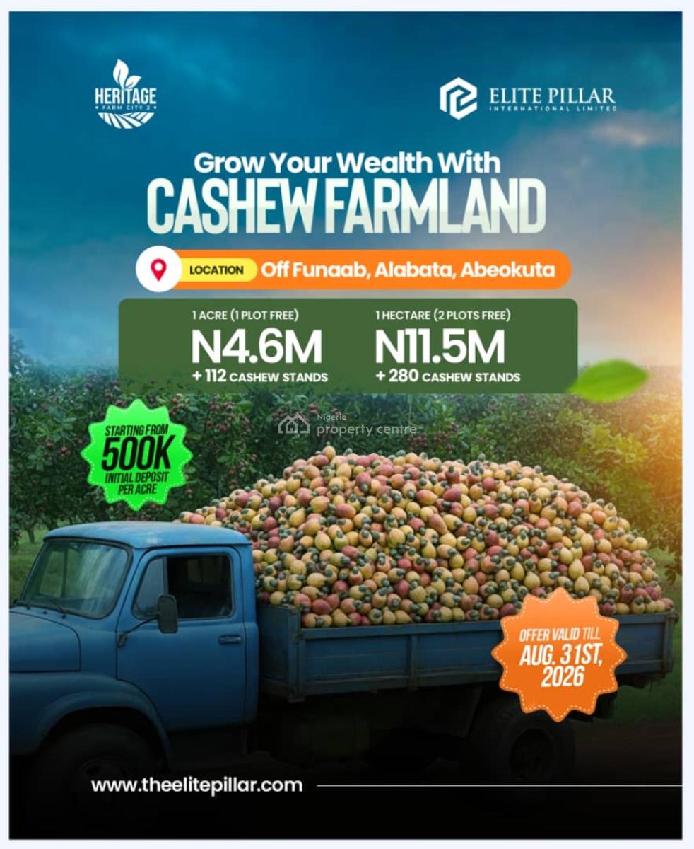 1 Acre of Cashew Farm: Annual Return of N4.5m Above. You Need This!, Alabata, Abeokuta North, Ogun, Mixed-use Land for Sale