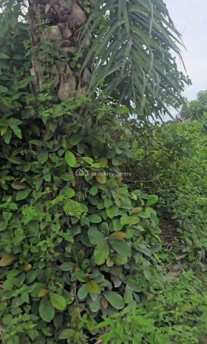 Land Measuring 1,171sqm, Gra, Abijo, Lekki, Lagos, Residential Land for Sale