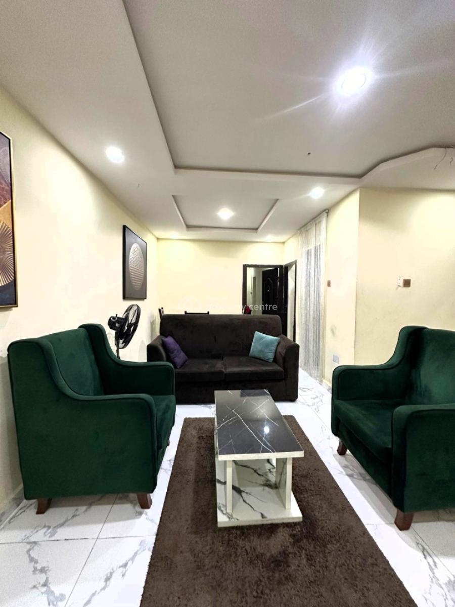 Nicely Furnished and Well Serviced Luxury 2 Bedroom Apartment, Off Adeniran Ogunsanya, Surulere, Surulere, Lagos, Flat / Apartment Short Let