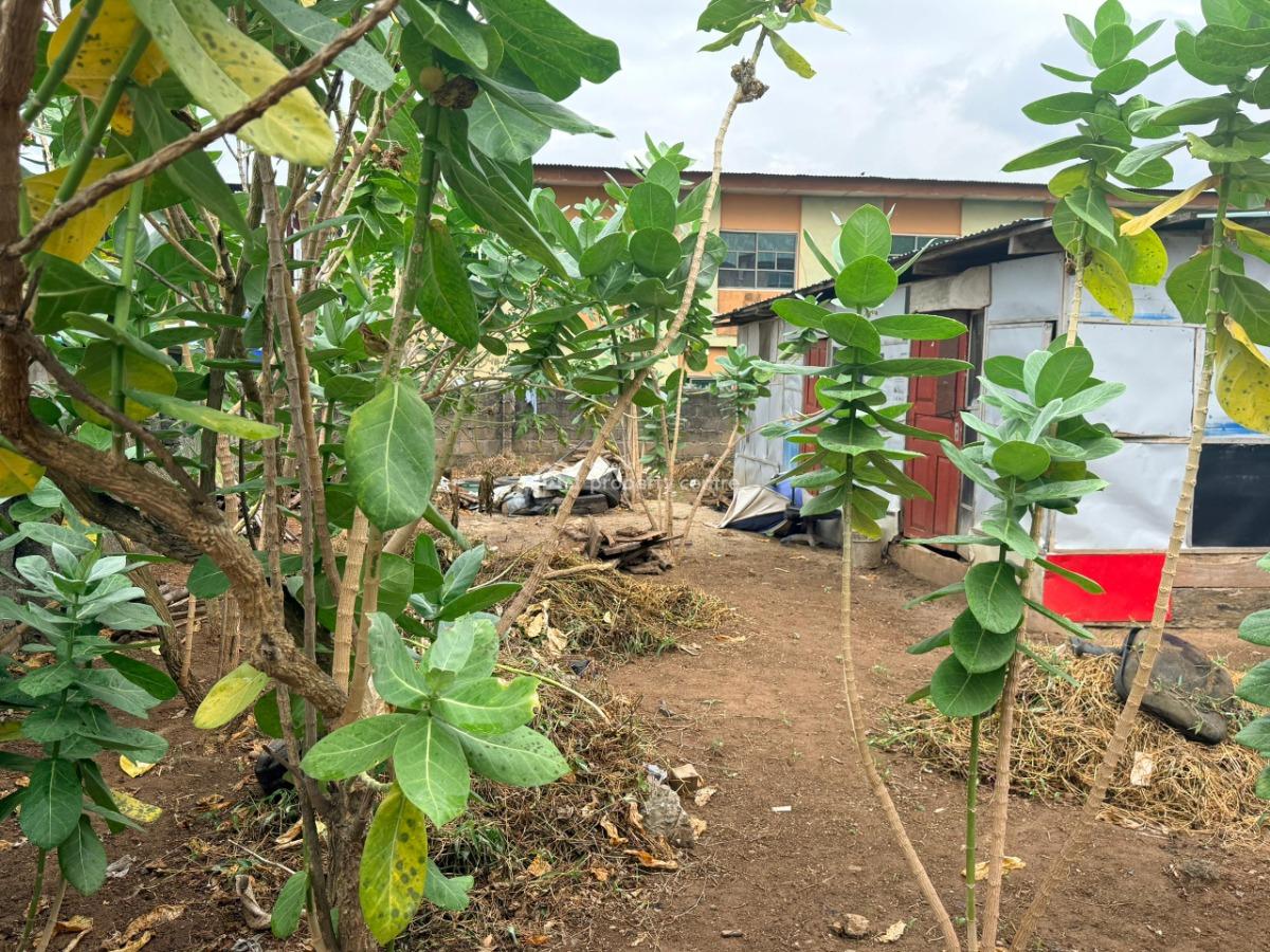 218sqm Fenced Commercial Land, Off Kukoyi, Alapere, Ketu, Lagos, Mixed-use Land for Rent