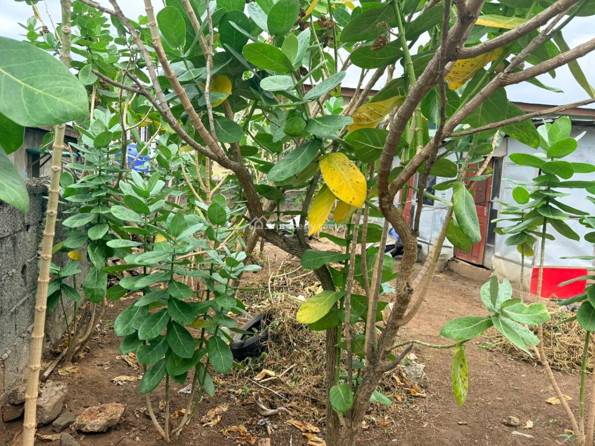 218sqm Fenced Commercial Land, Off Kukoyi, Alapere, Ketu, Lagos, Mixed-use Land for Rent