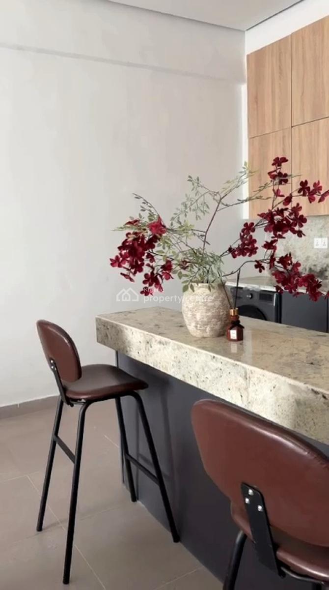Newly Built 2 Bedroom Luxury Apartment, Seagate Estate, Palm Spring Road, Salem, Ikate, Lekki, Lagos, Flat / Apartment for Sale