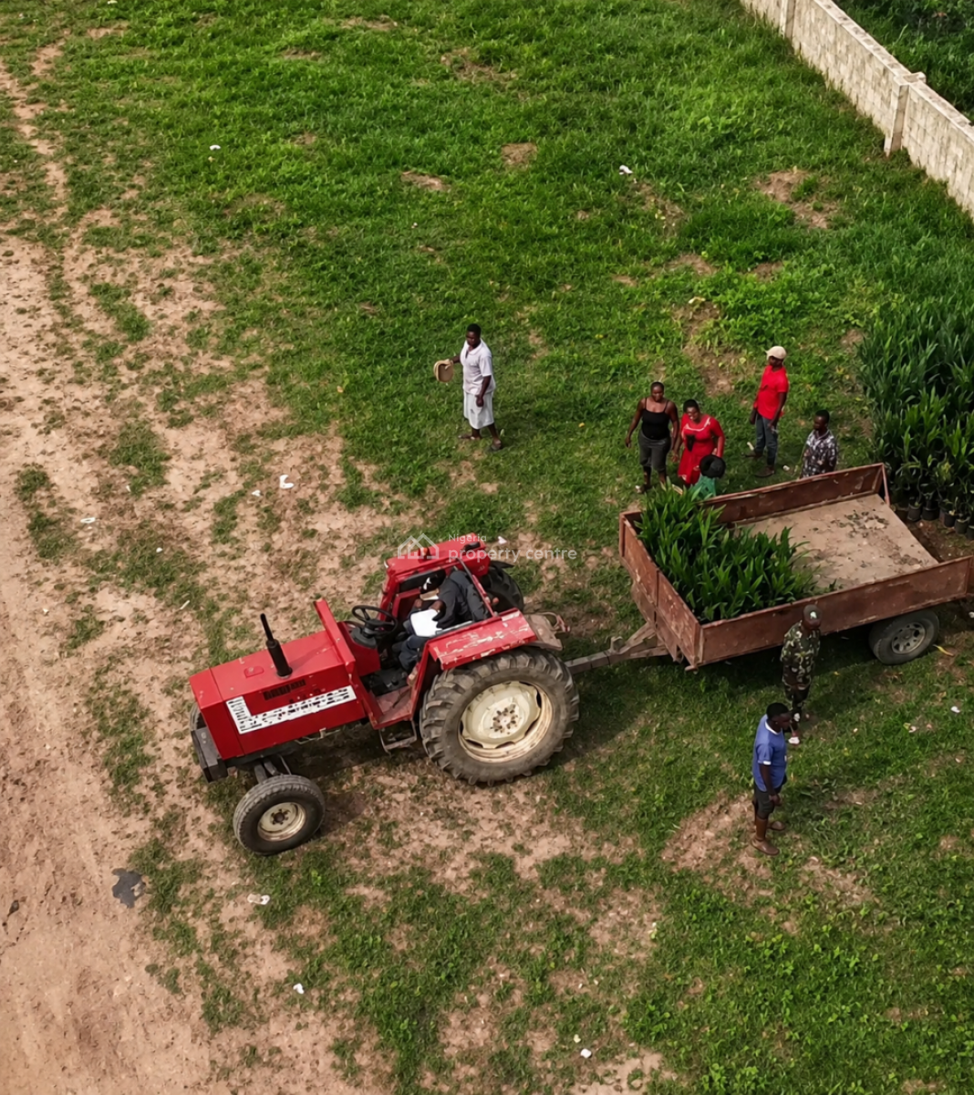 Nova Palm City , Farmland per Acre and Hectares, Imala-anigbado, Abeokuta North, Ogun, Mixed-use Land for Sale