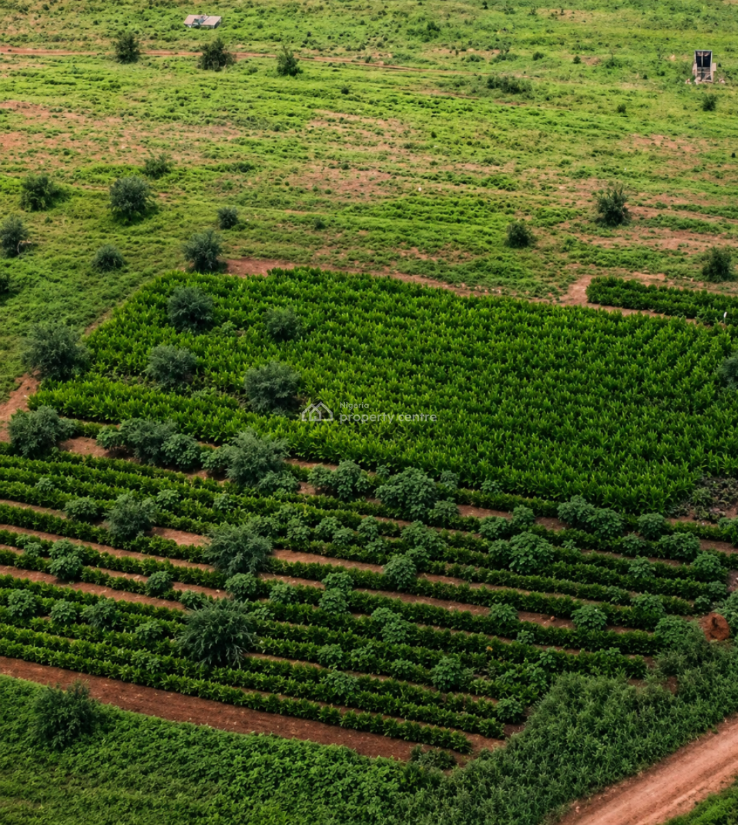 Nova Palm City , Farmland per Acre and Hectares, Imala-anigbado, Abeokuta North, Ogun, Mixed-use Land for Sale