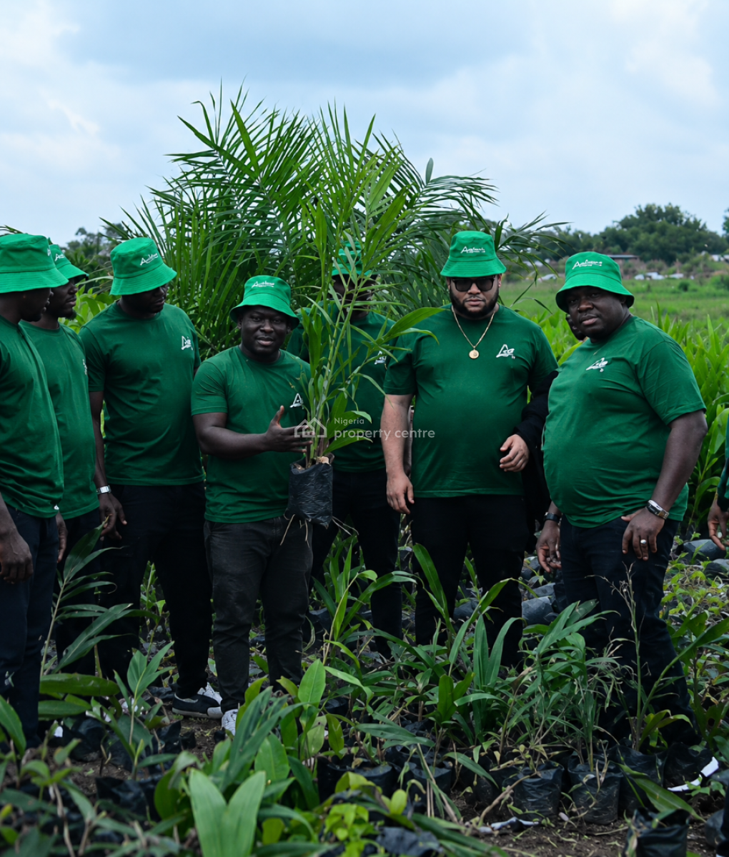 Nova Palm City , Farmland per Acre and Hectares, Imala-anigbado, Abeokuta North, Ogun, Mixed-use Land for Sale