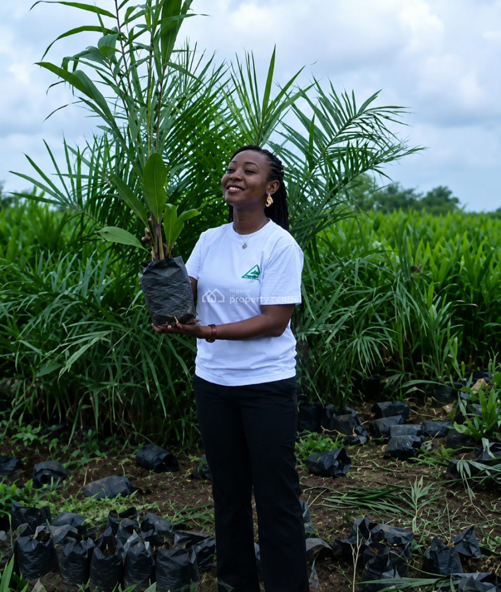 Nova Palm City , Farmland per Acre and Hectares, Imala-anigbado, Abeokuta North, Ogun, Mixed-use Land for Sale