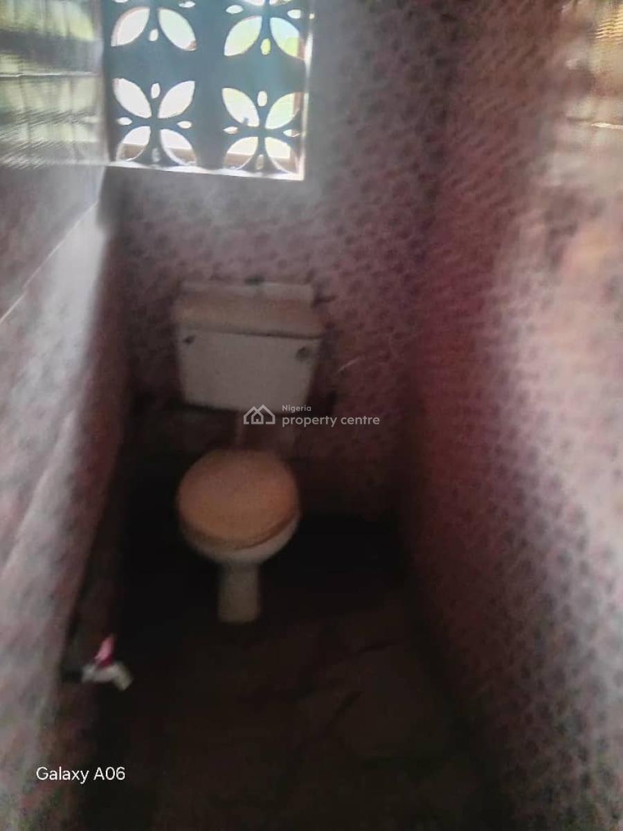 Spacious Mini Flat, Fish Pond, Agric, Ikorodu, Lagos, Mini Flat (room and Parlour) for Rent