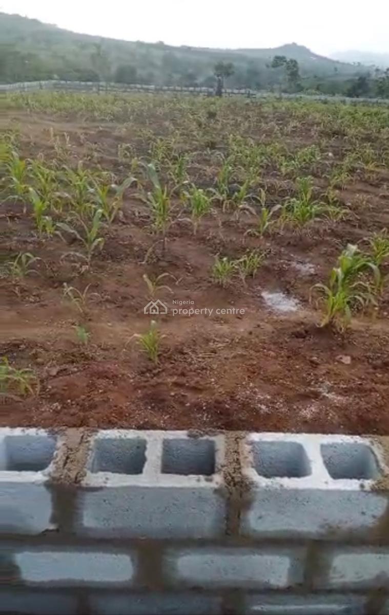 1000sqm, Residential, C of O, Maitama 2, Maitama District, Abuja, Residential Land for Sale