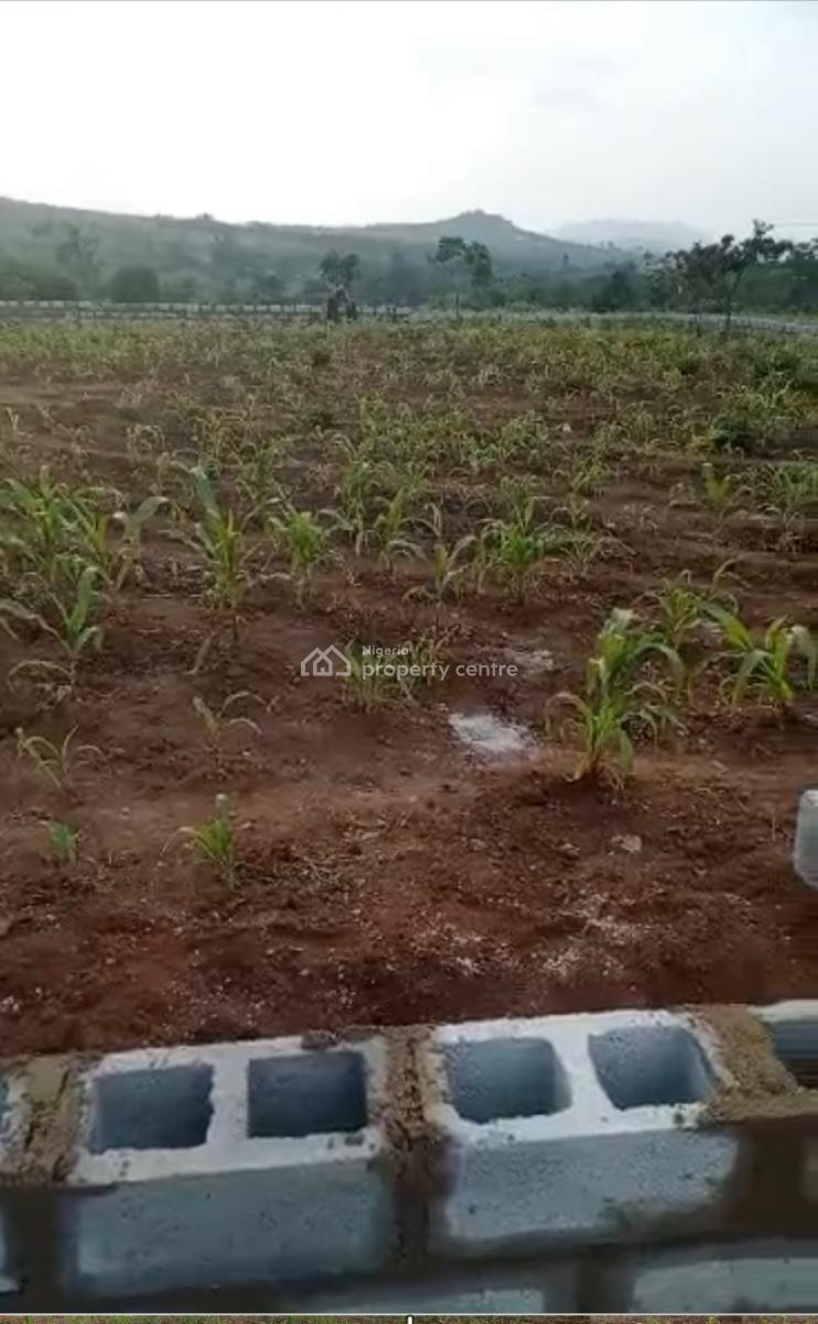 1000sqm, Residential, C of O, Maitama 2, Maitama District, Abuja, Residential Land for Sale
