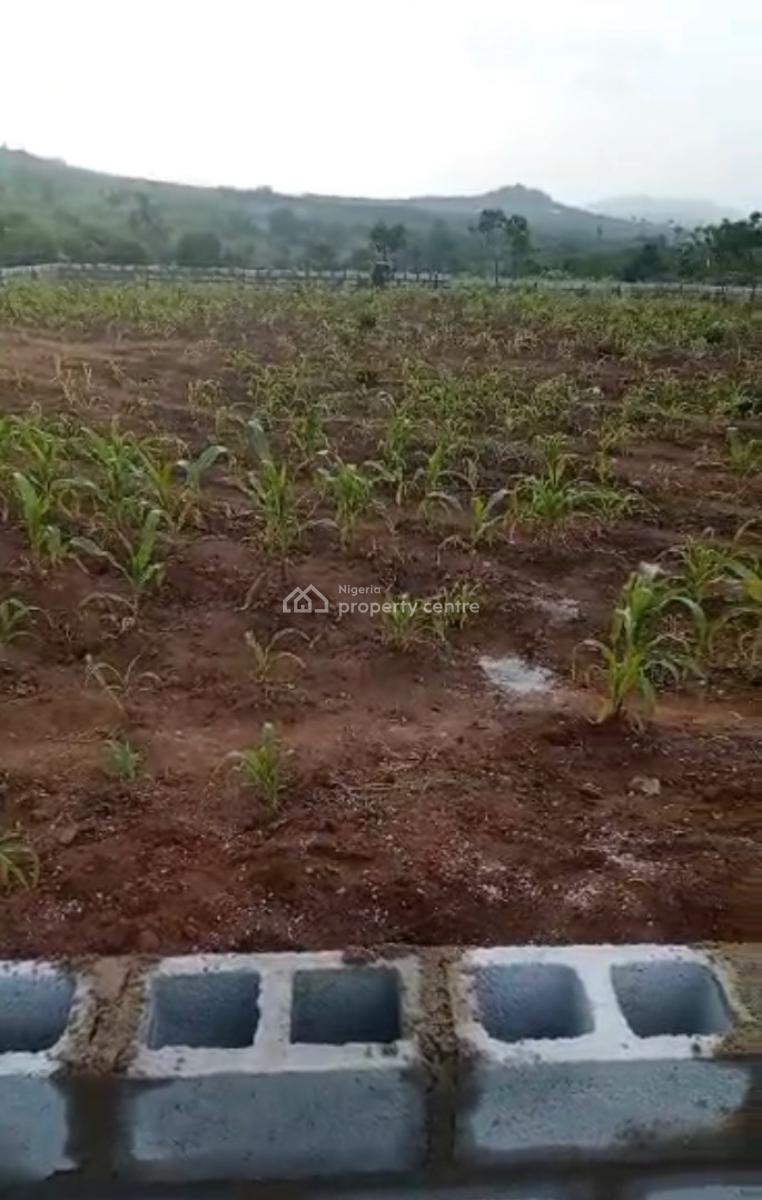 1000sqm, Residential, C of O, Maitama 2, Maitama District, Abuja, Residential Land for Sale
