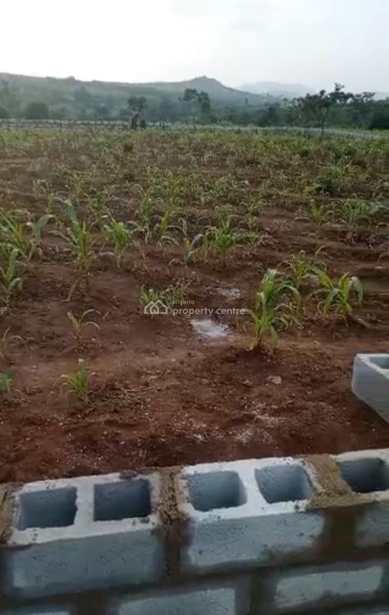 1000sqm, Residential, C of O, Maitama 2, Maitama District, Abuja, Residential Land for Sale
