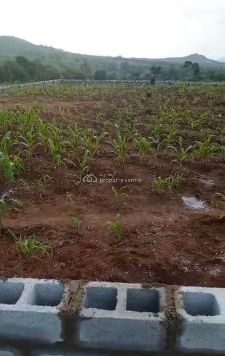 1000sqm, Residential, C of O, Maitama 2, Maitama District, Abuja, Residential Land for Sale