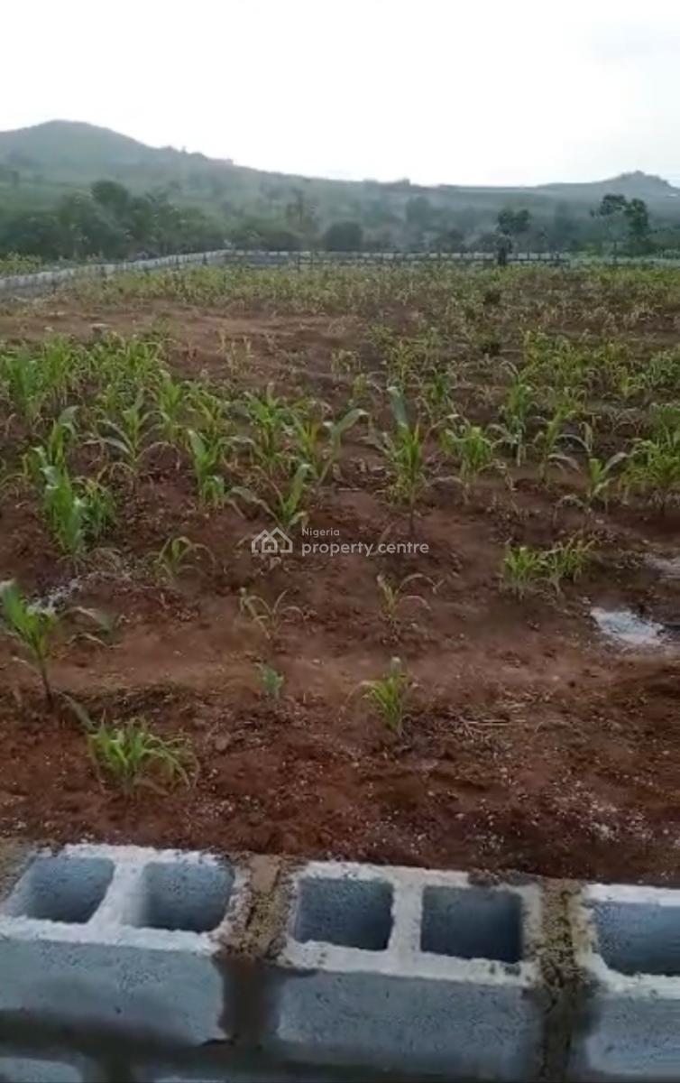 1000sqm, Residential, C of O, Maitama 2, Maitama District, Abuja, Residential Land for Sale