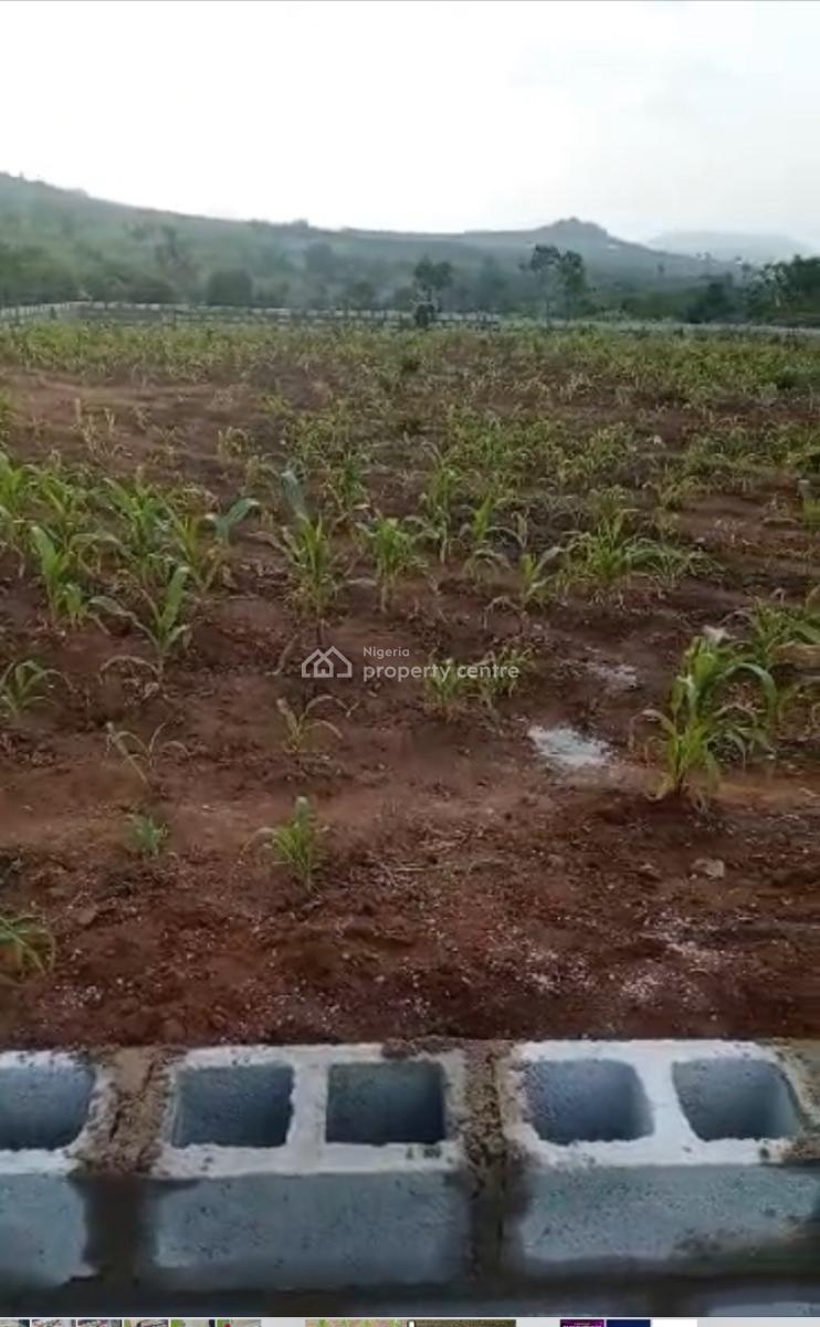 1000sqm, Residential, C of O, Maitama 2, Maitama District, Abuja, Residential Land for Sale
