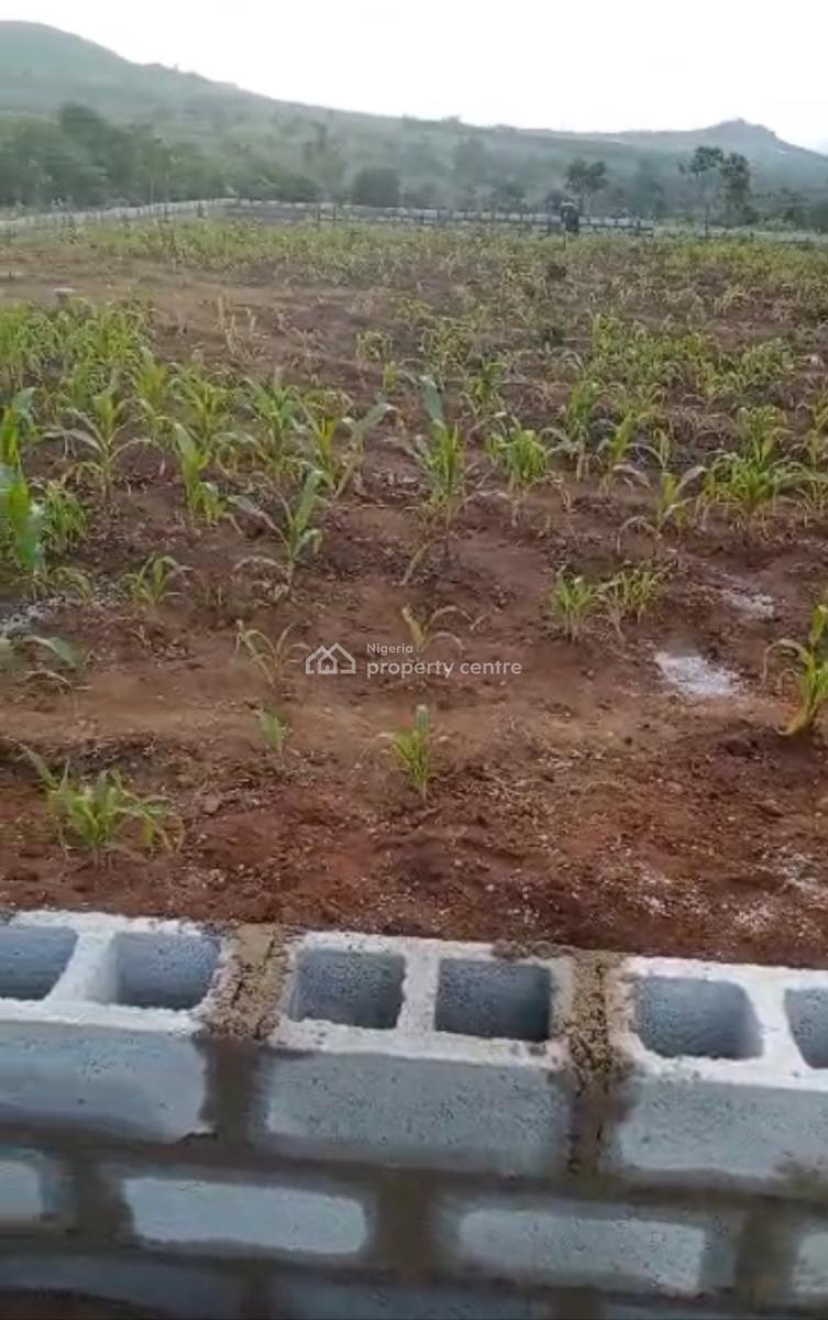 1000sqm, Residential, C of O, Maitama 2, Maitama District, Abuja, Residential Land for Sale