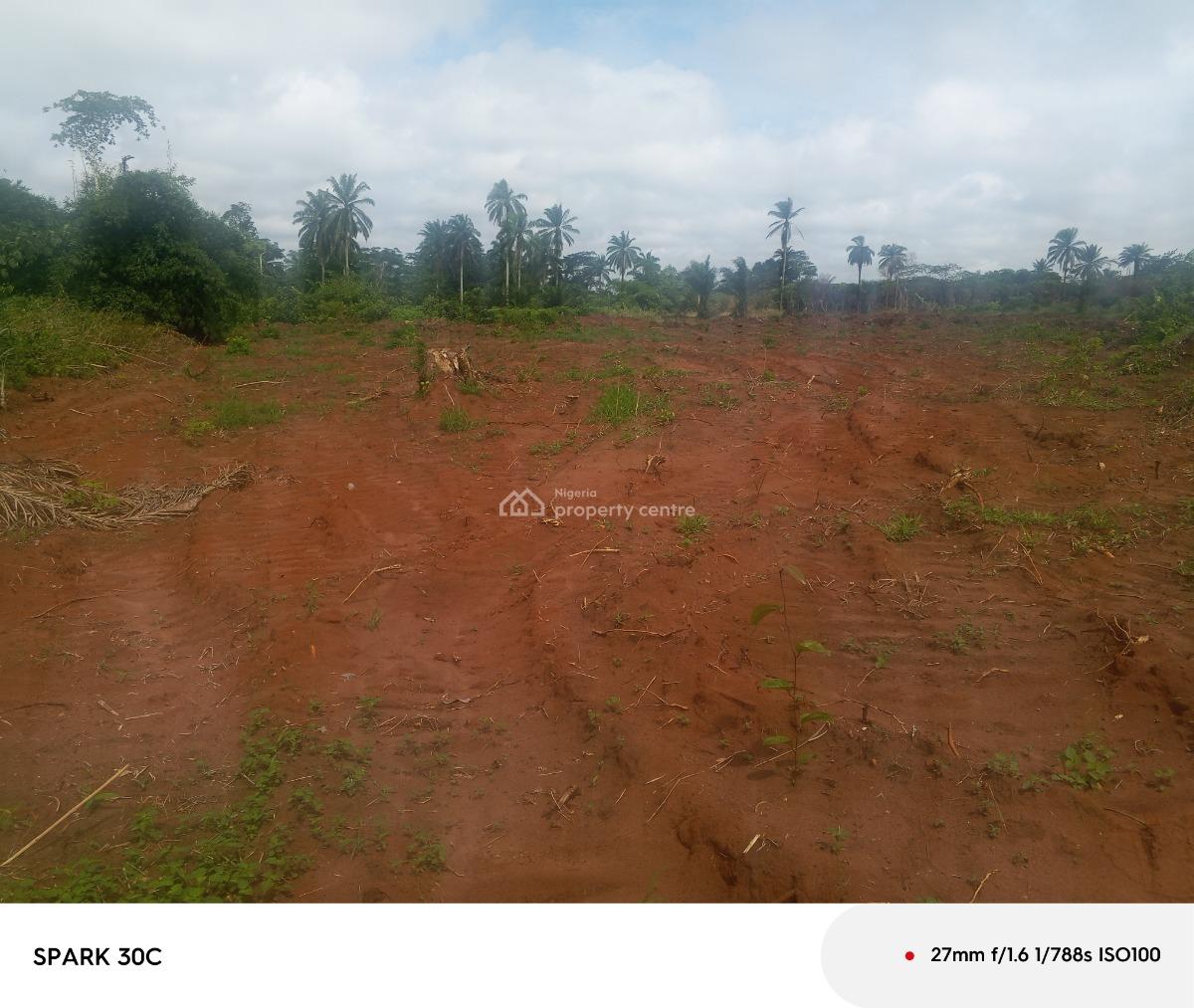C of O in View, Asaba Benin Expressway Delta State, Asaba, Delta, Residential Land for Sale