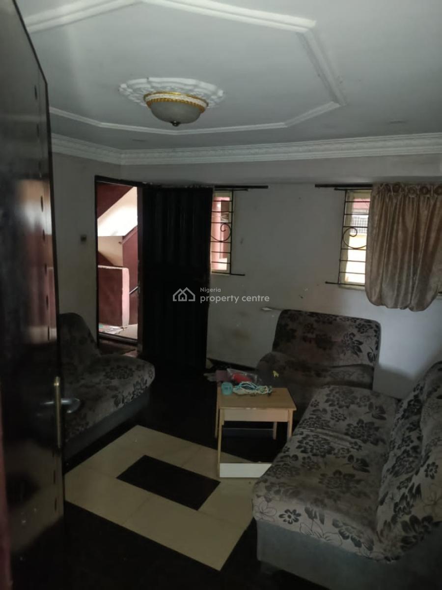 Nicely Executive 2 Bedroom, Surulere, Lagos, Flat / Apartment for Rent