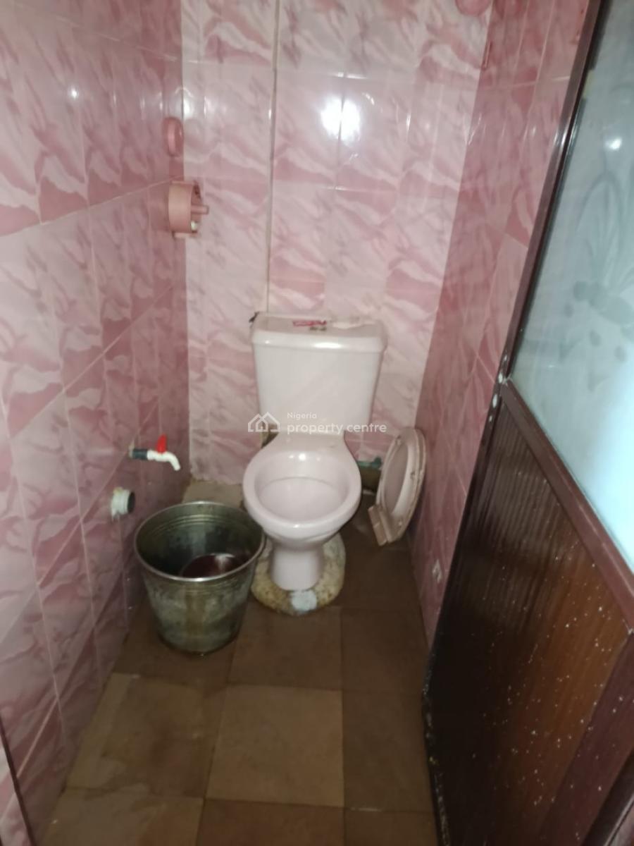 Nicely Executive 2 Bedroom, Surulere, Lagos, Flat / Apartment for Rent