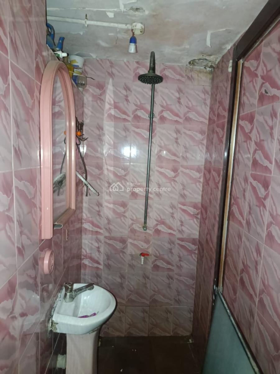 Nicely Executive 2 Bedroom, Surulere, Lagos, Flat / Apartment for Rent