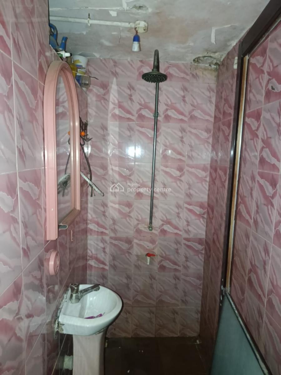 Nicely Executive 2 Bedroom, Surulere, Lagos, Flat / Apartment for Rent