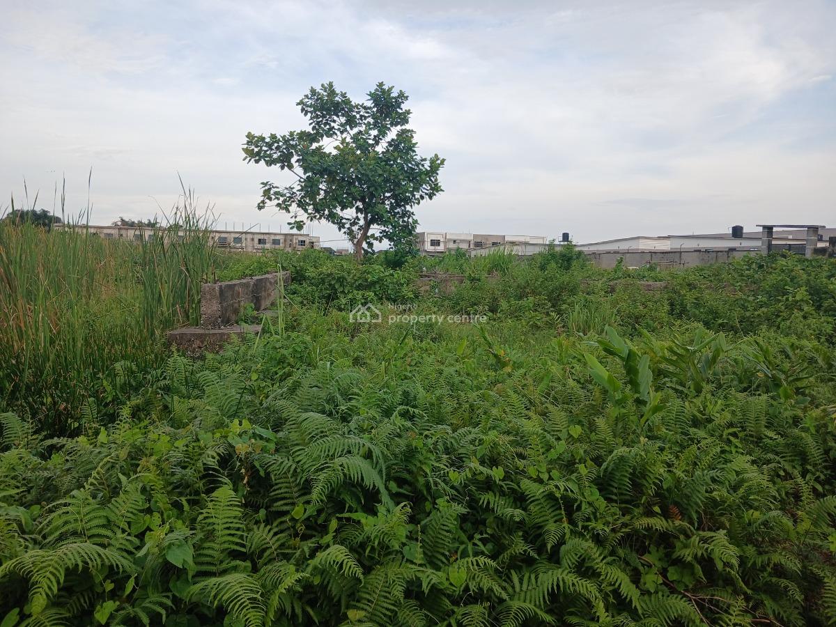 600sqm Plot of Land, Alashia, Opposite General Paint, Ajah, Lekki, Lagos, Mixed-use Land for Sale