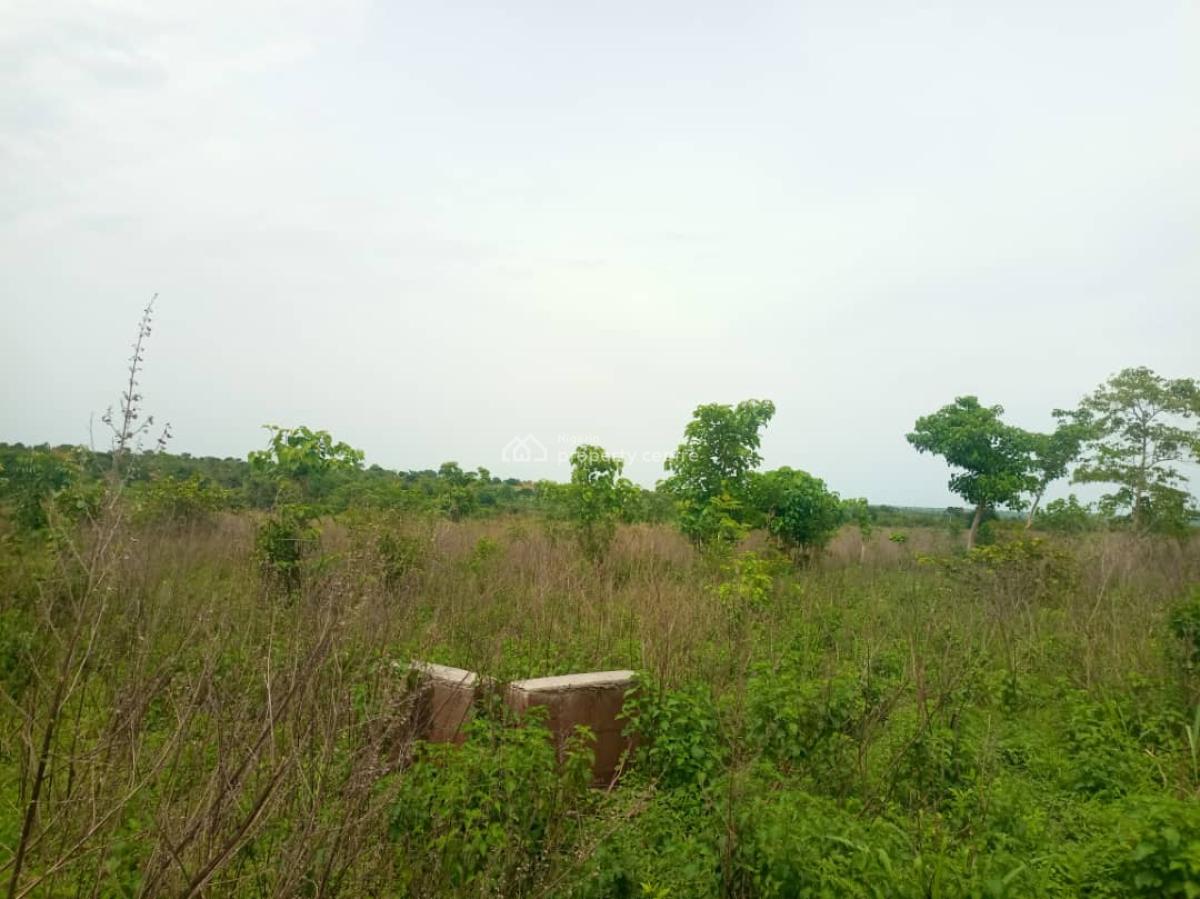 14 Acres of Land, Aba-sokoto, Iseyin Agric Hub, Iseyin, Oyo, Land for Sale