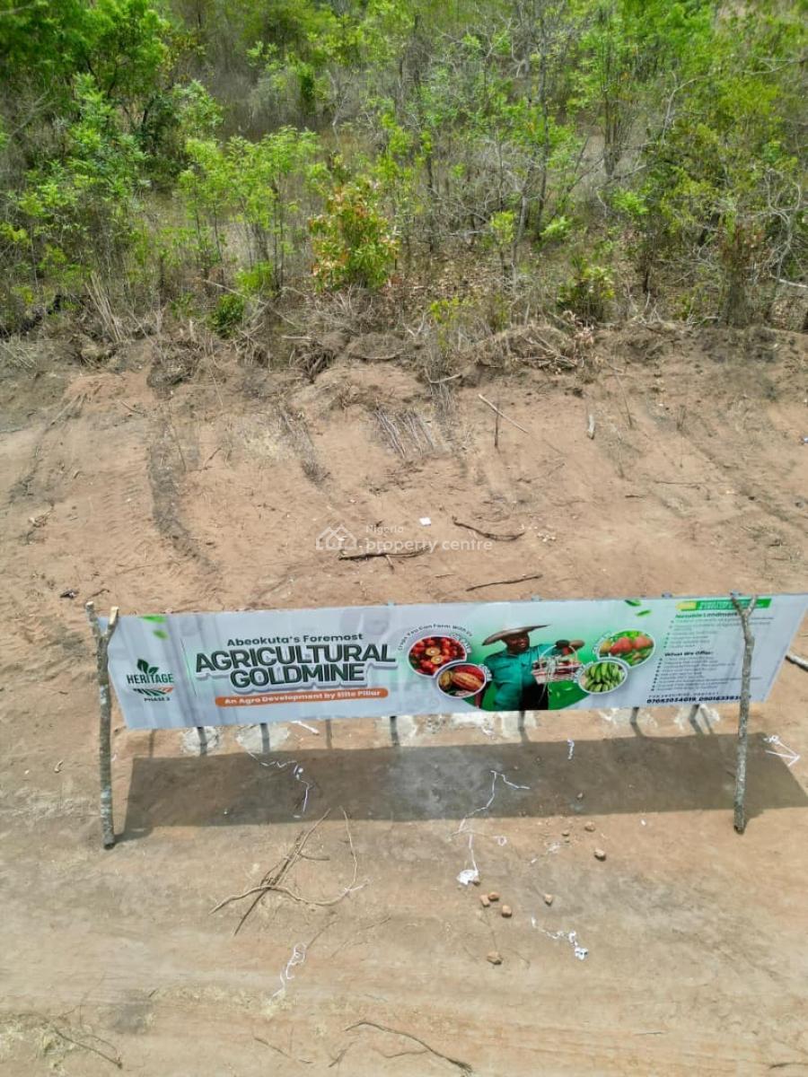 1 Acre of Palm-oil Farm: Annual Profit of 4.5m and Above, Abeokuta South, Ogun, Commercial Land for Sale
