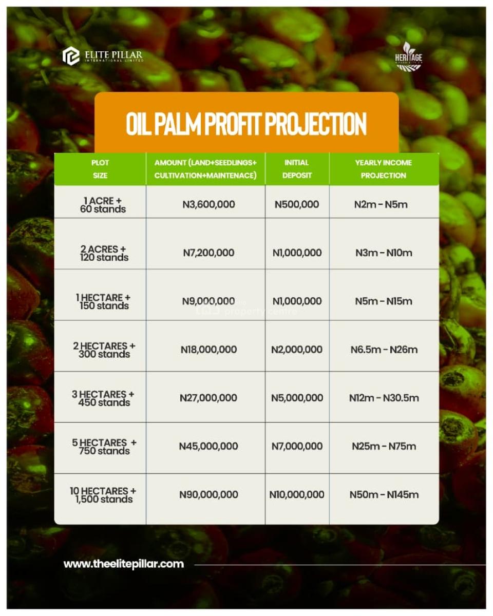 1 Acre of Palm-oil Farm: Annual Profit of 4.5m and Above, Abeokuta South, Ogun, Commercial Land for Sale
