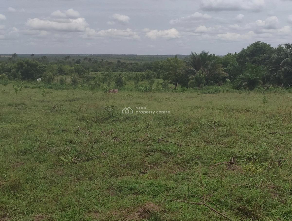 Govt Approved Estate Facing Road, Edens Resorts Ibefun, Odogbolu, Ogun, Mixed-use Land for Sale
