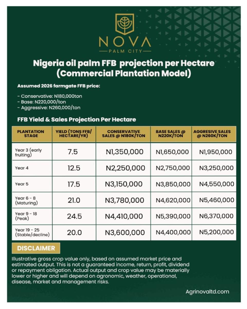 Own Acres/hectares of Land for Palm Oil Plantation, Imala Anigbado Nova Palm City Estate, Abeokuta North, Ogun, Commercial Land for Sale