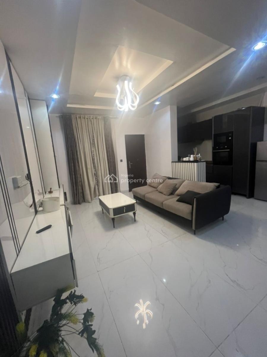 Furnished 2 Bedrooms with 24hrs Electricity at Ikate Lekki, Ikate Elegushi, Lekki, Lagos, Flat / Apartment for Rent