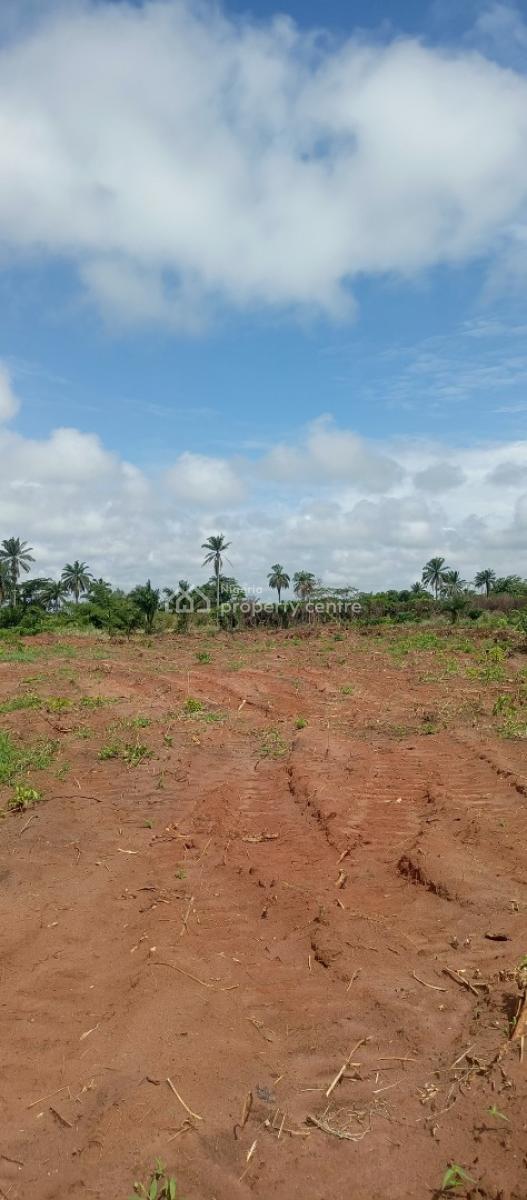 Premium Land with C of O, Ubulu Okiti Facing The Asaba Benin Express Way, Asaba, Delta, Residential Land for Sale