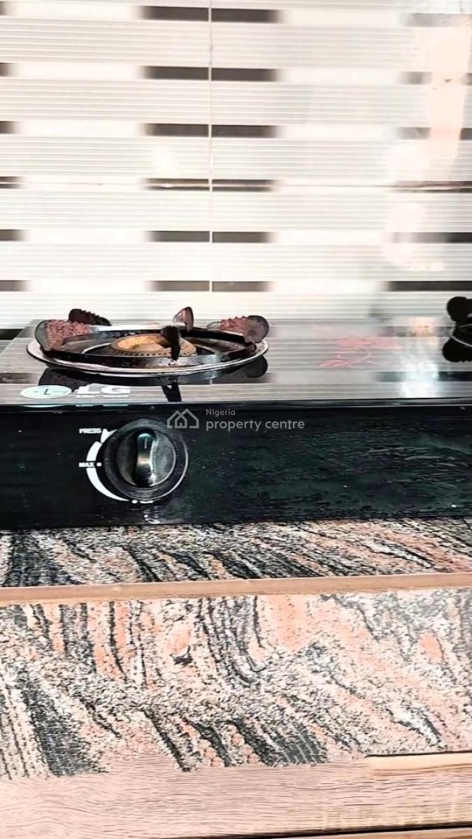Finely Furnished and Well Serviced Luxury 2 Bedroom Apartment, Ago Palace, Amuwo Odofin, Lagos, Flat / Apartment Short Let