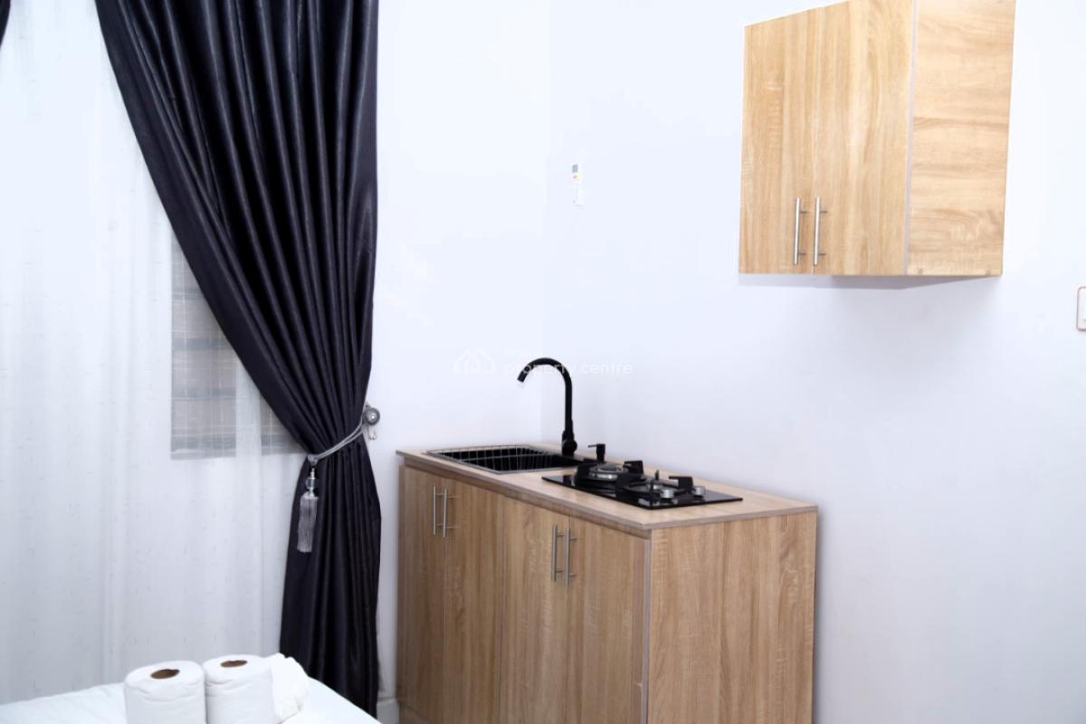 Finely Furnished and Well Serviced Luxury 2 Bedroom Apartment, Ago Palace, Amuwo Odofin, Lagos, Flat / Apartment Short Let