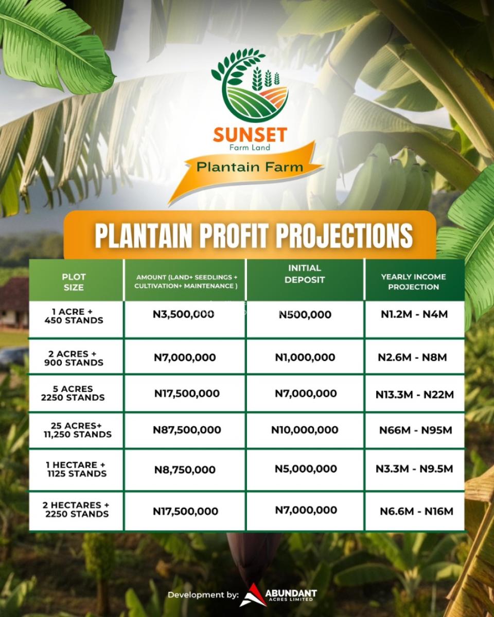 From Soil to Success: Own a Plot at Sunset Plantain Farm Today, Sunset Farm Land, Odeda Local Government, Abeokuta South, Ogun, Commercial Land for Sale