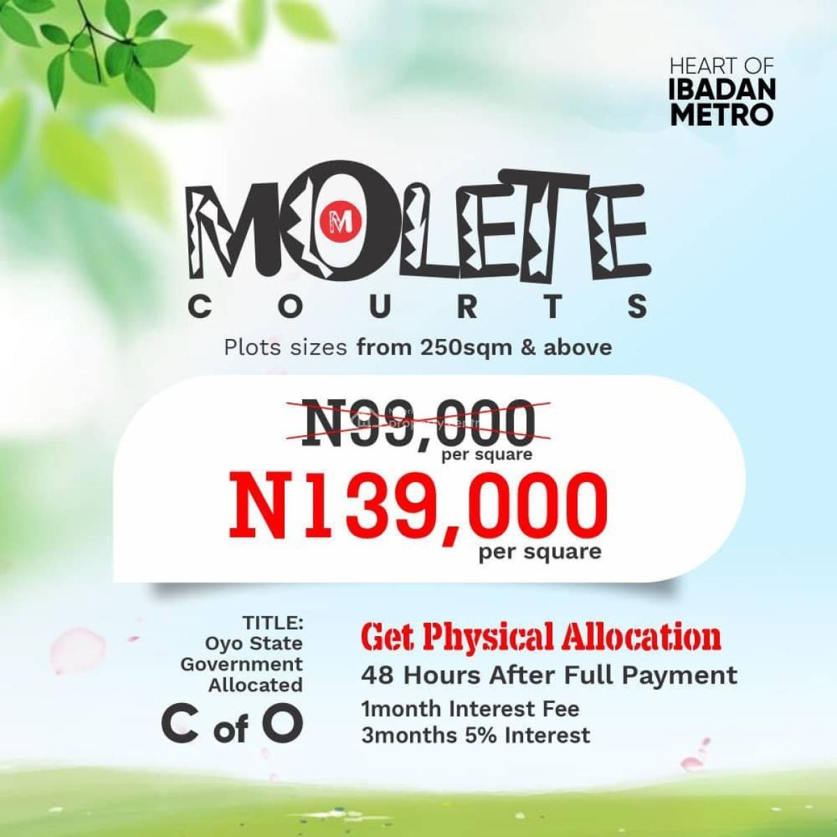 Affordable Residential Land in a Prime, Serene Location, Molete Courts, Molete, Ibadan, Oyo, Residential Land for Sale