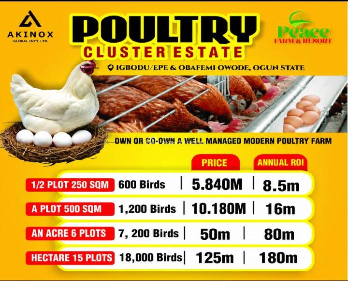 Poultry Farm Cluster Estate, Ijebu East, Ogun, Commercial Land for Sale