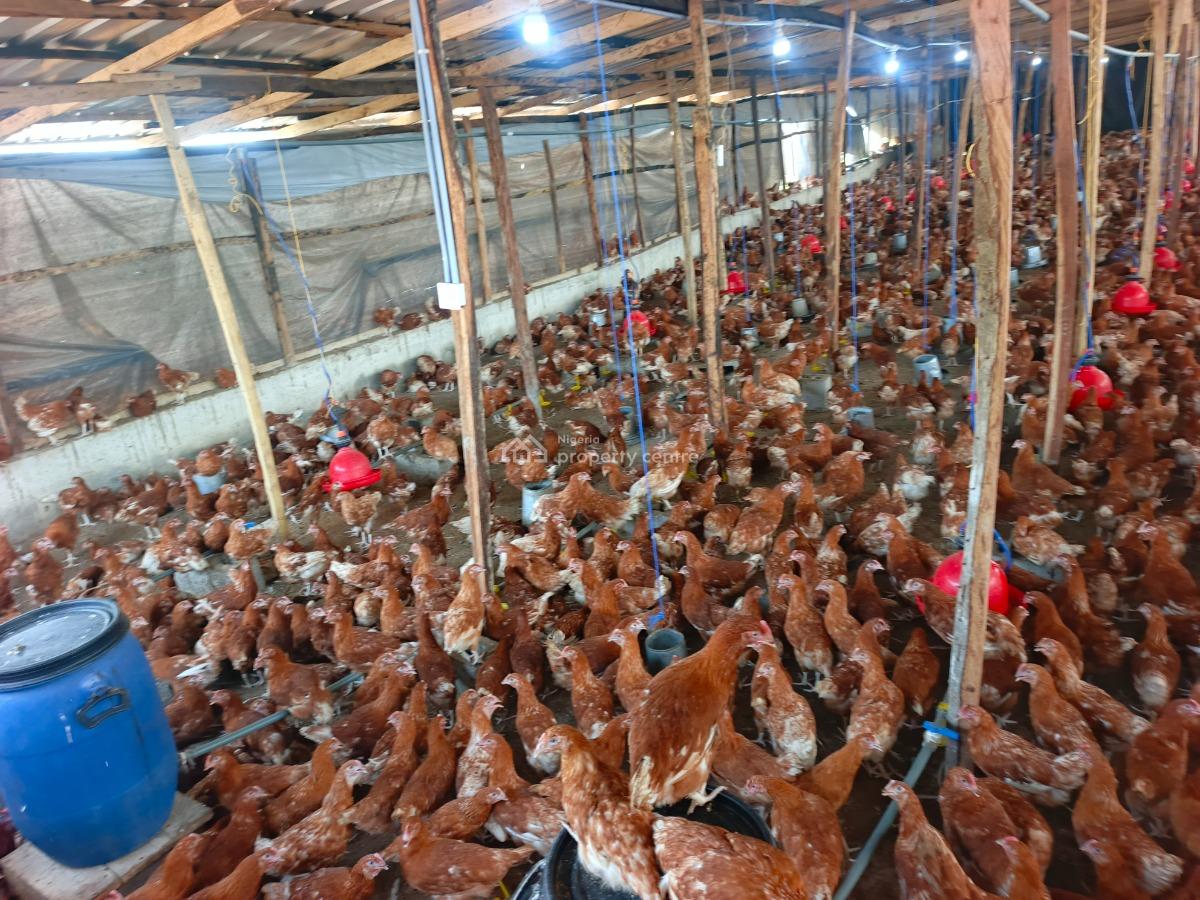 Poultry Farm Investment, Ijebu East, Ogun, Factory for Sale