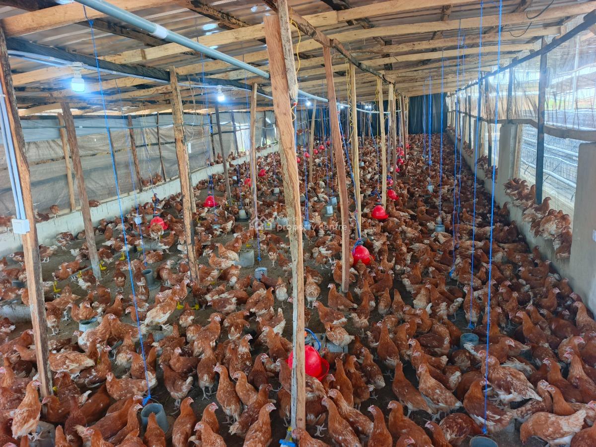 Poultry Farm Investment, Ijebu East, Ogun, Factory for Sale