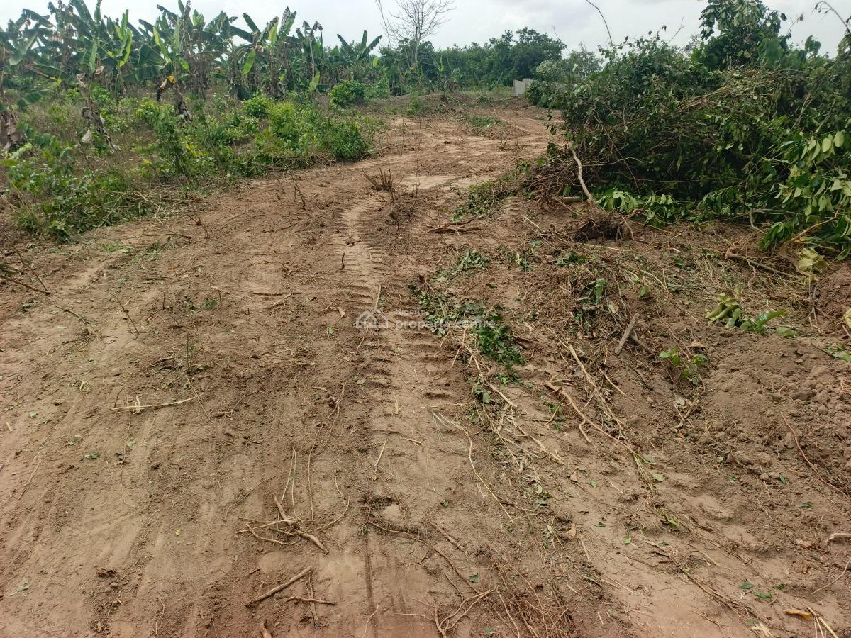 Residential Land Facing The Major Road, Success Park Estate Commercial, Obafemi Owode, Ogun, Mixed-use Land for Sale