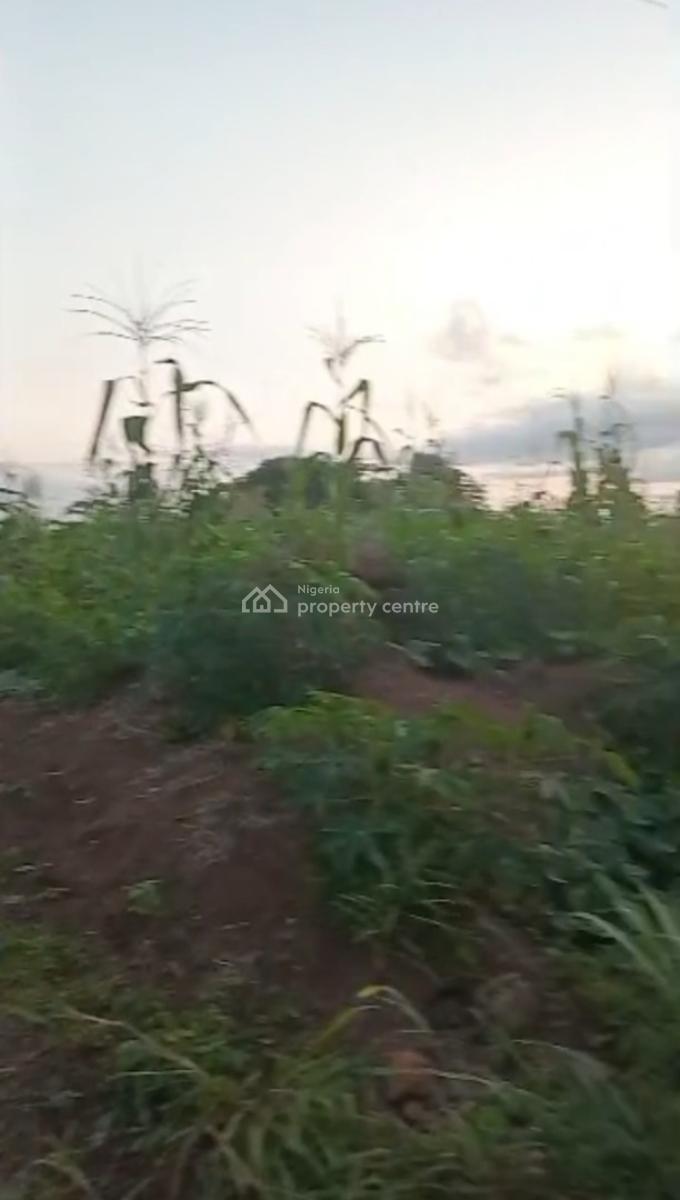 100ft By 200ft, Flat and Dry Land, Evbuekhae  Community, Off Airport Road, Benin, Oredo, Edo, Mixed-use Land for Sale