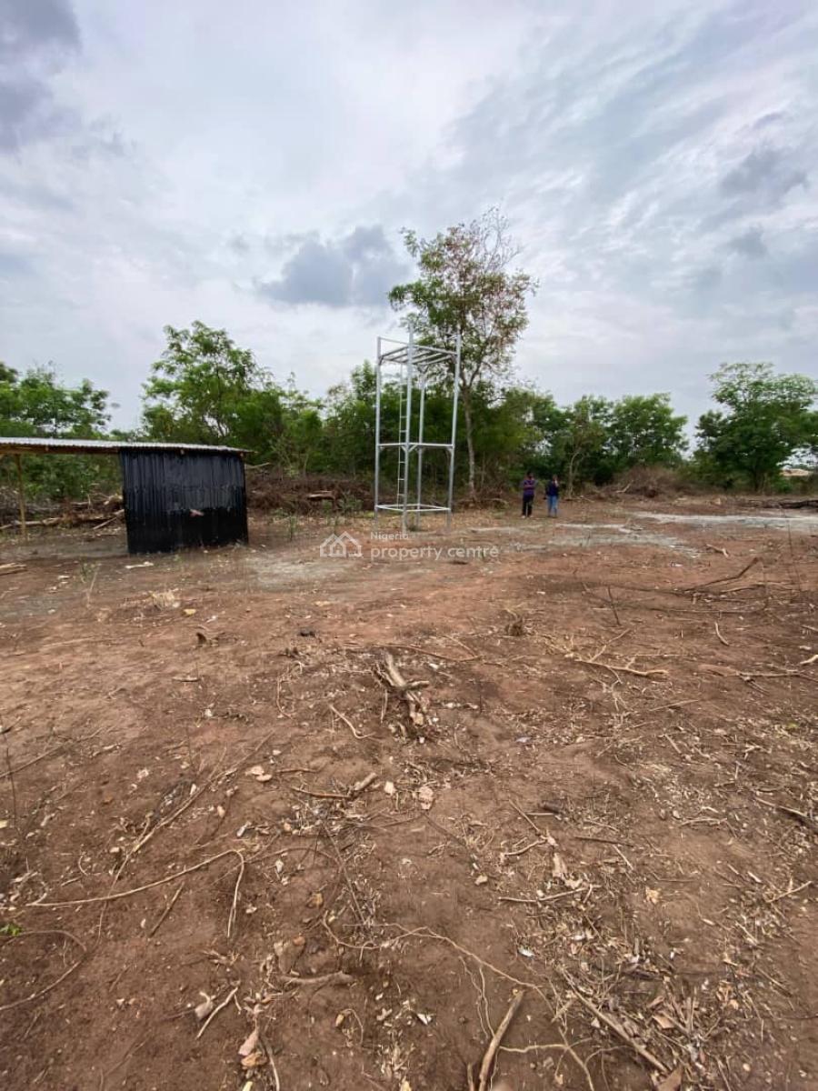 Palm Trees, Plantain and Coconut Farmland in Abeokuta, Alabata Abeokuta, The Product Will Be Managed By The Company, Abeokuta South, Ogun, Commercial Land for Sale