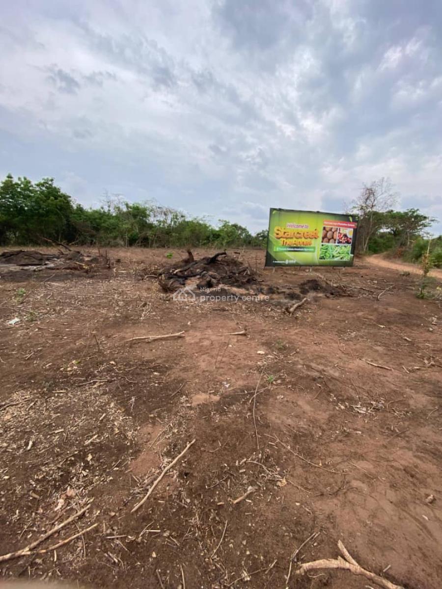Palm Trees, Plantain and Coconut Farmland in Abeokuta, Alabata Abeokuta, The Product Will Be Managed By The Company, Abeokuta South, Ogun, Commercial Land for Sale