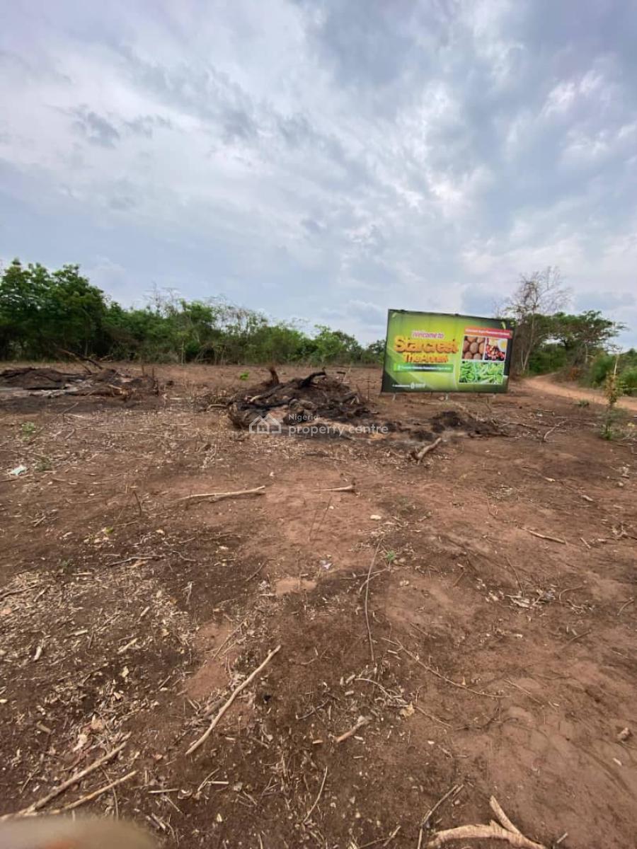 Palm Trees, Plantain and Coconut Farmland in Abeokuta, Alabata Abeokuta, The Product Will Be Managed By The Company, Abeokuta South, Ogun, Commercial Land for Sale