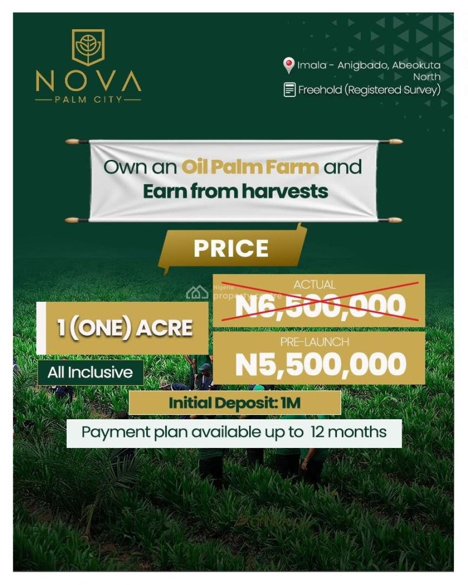 Agricultural Farmland a Professionally Managed Agro Investment Estate, Nova Palm City / Imala Anigbado, Abeokuta North, Ogun, Commercial Land for Sale