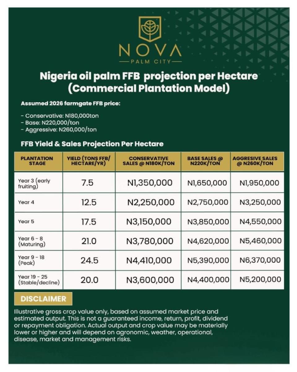 Agricultural Farmland a Professionally Managed Agro Investment Estate, Nova Palm City / Imala Anigbado, Abeokuta North, Ogun, Commercial Land for Sale