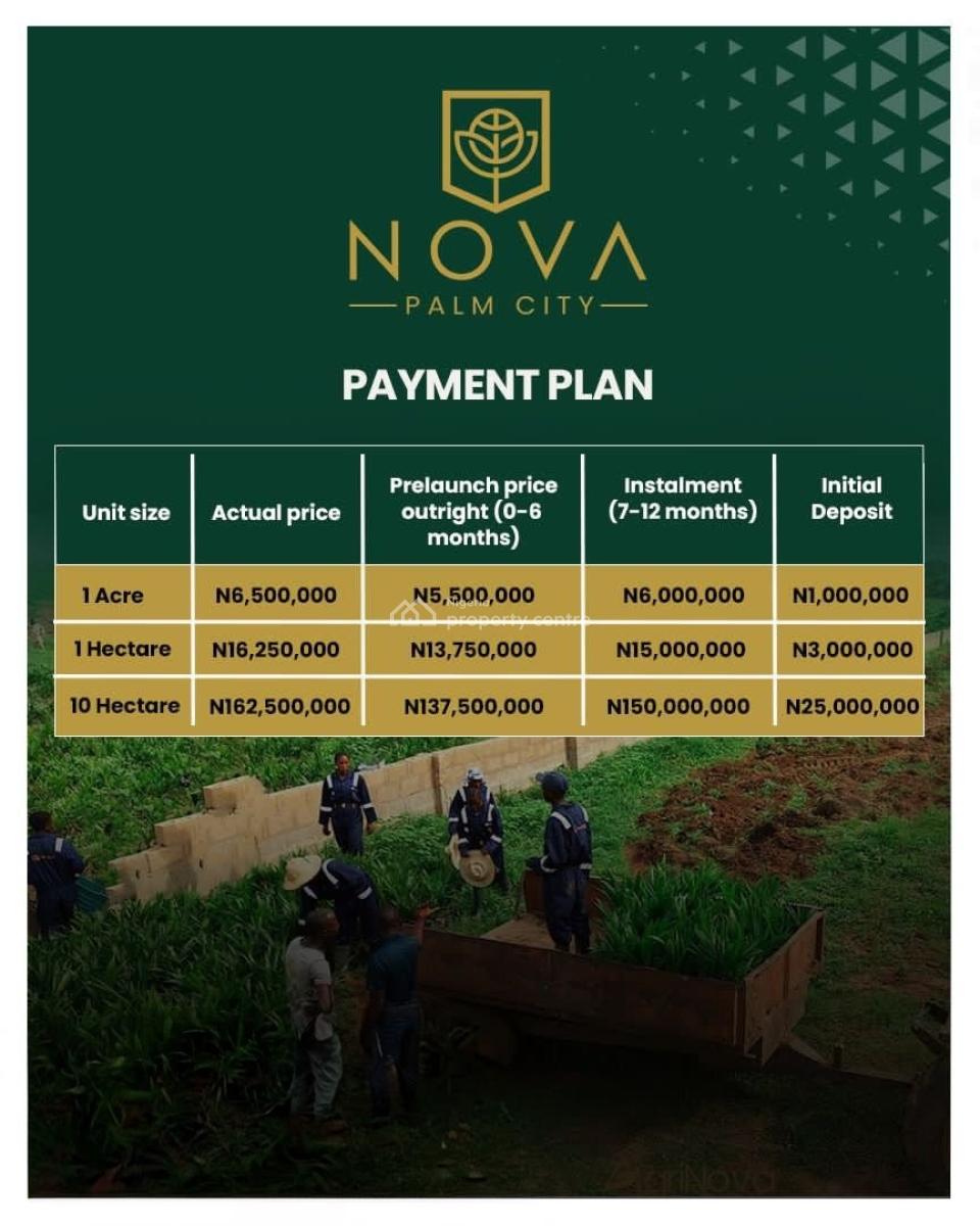 Agricultural Farmland a Professionally Managed Agro Investment Estate, Nova Palm City / Imala Anigbado, Abeokuta North, Ogun, Commercial Land for Sale