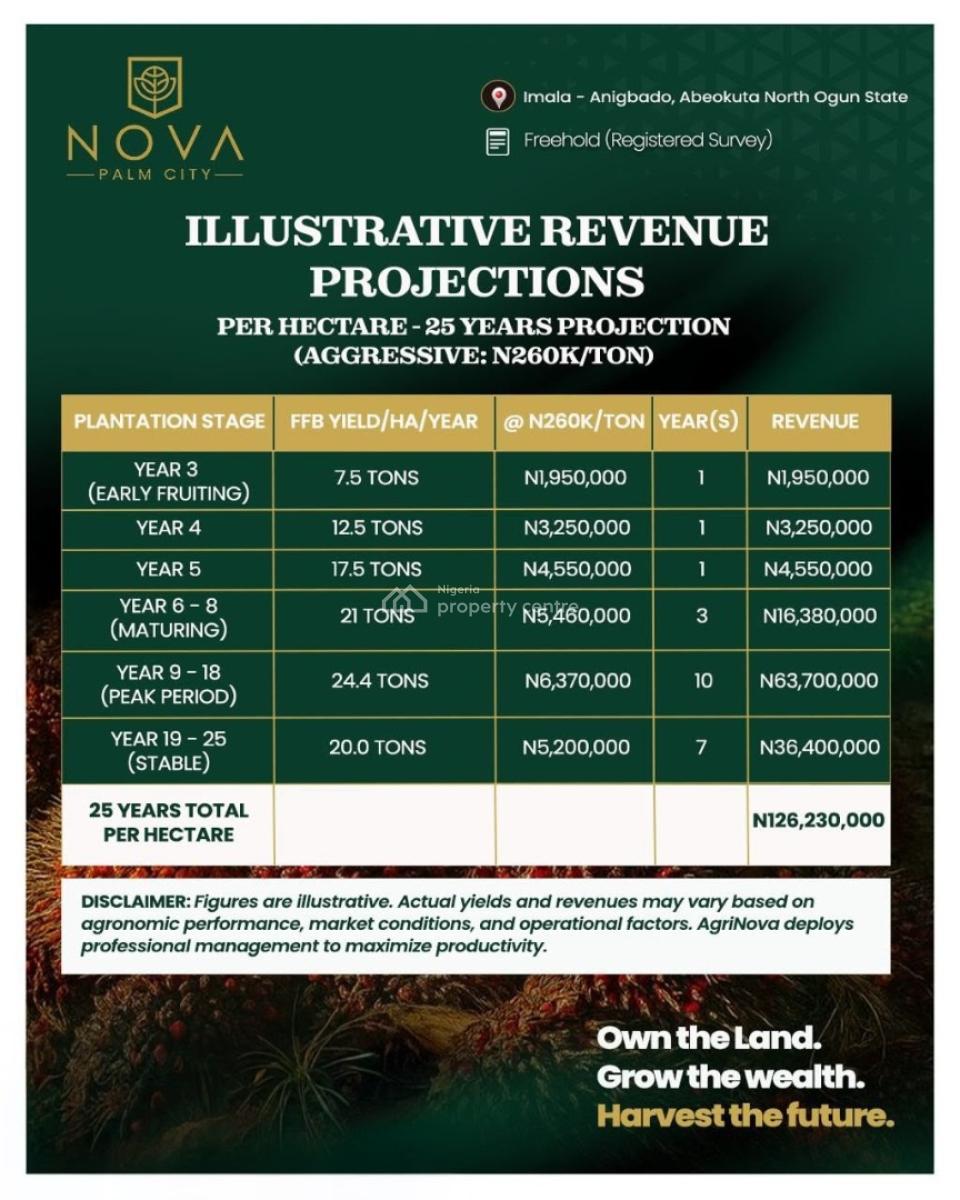 Agricultural Farmland a Professionally Managed Agro Investment Estate, Nova Palm City / Imala Anigbado, Abeokuta North, Ogun, Commercial Land for Sale